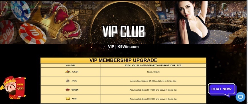 VIP customer mode is taken care of the fastest