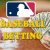 What Is Baseball Betting? Where Is The Best Betting Company?