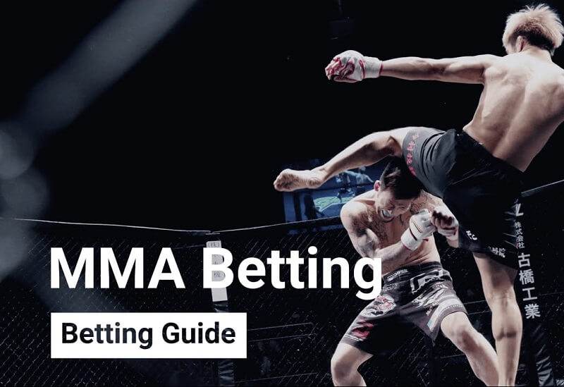Strategies when play Mixed Martial Arts Betting