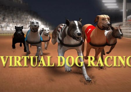 Virtual Dog Racing | What Is It? How Can You Place A Wager On It?
