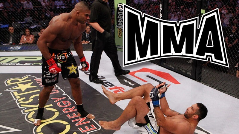 An overview of Mixed Martial Arts