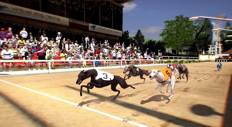 Betting on virtual dog racing with many promotions
