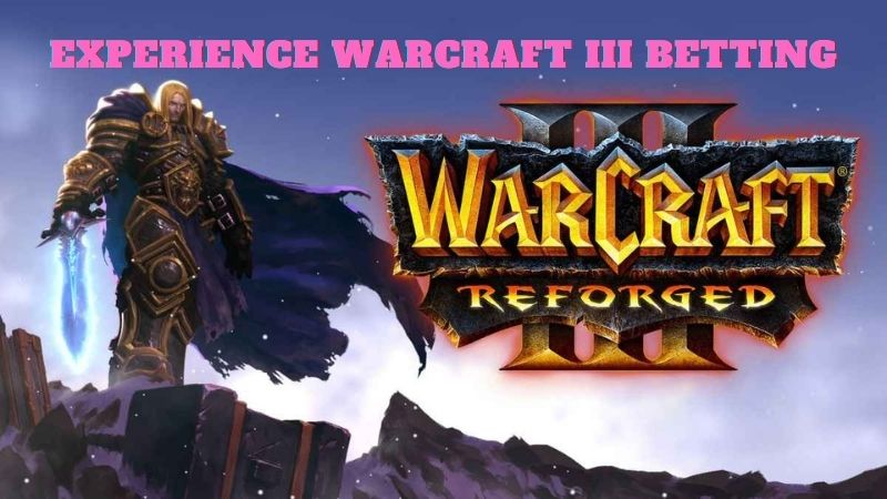 Experience with Warcraft 3 betting