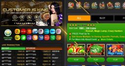 Mamak24 – Review of the best quality bookmaker in Asia