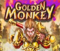 Golden Monkey